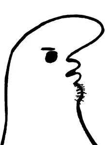 IMG_7313.png