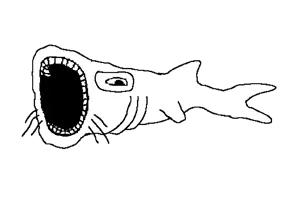 IMG_7274.png