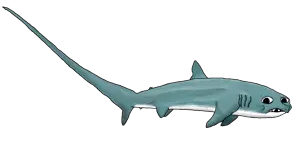 IMG_8289.png