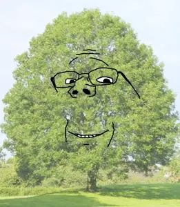 Tree.jpg
